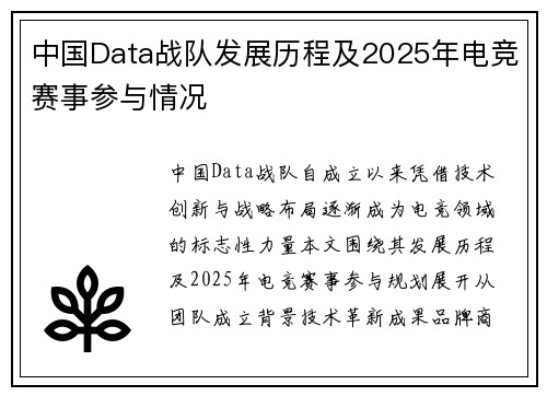 中国Data战队发展历程及2025年电竞赛事参与情况